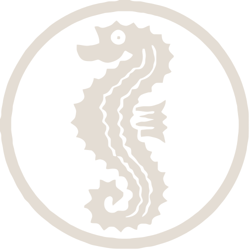 awarded Seepferdchen Schwimmerabzeichen